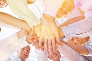 Belbin'S Team Roles Training Course in British Virgin Islands
