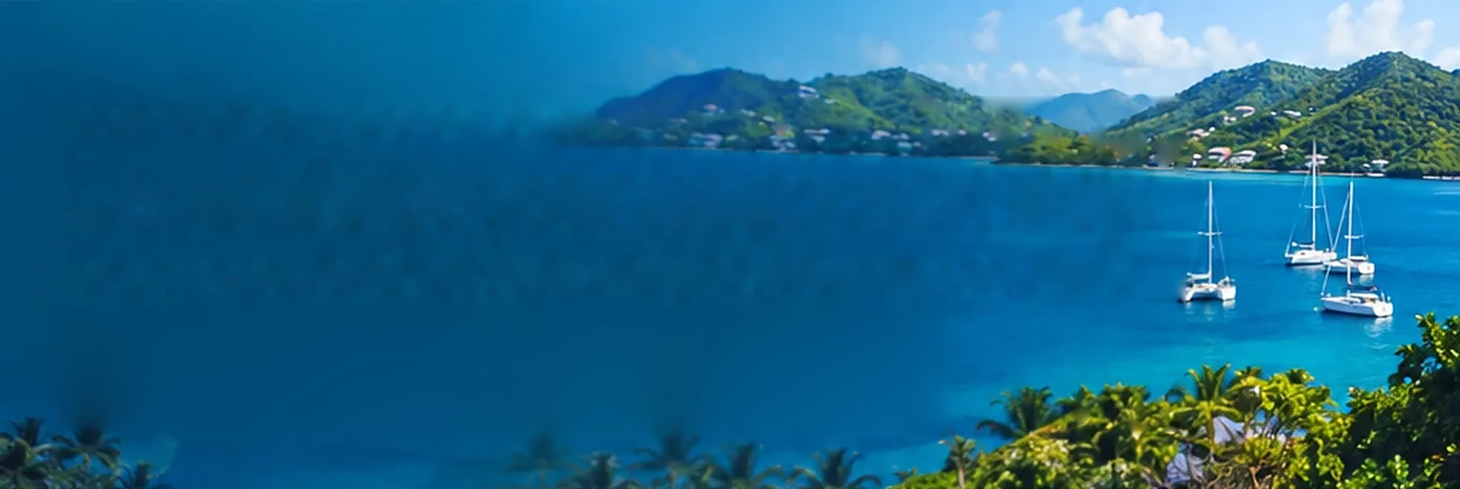 A bay with anchored sailing boats and green hills in the British Virgin Islands